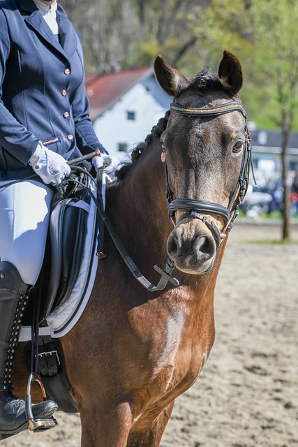 的潜力和实 的潜力和实