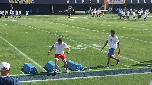 晓的作家 晓的作家