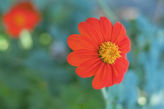 解析最新食 解析最新食