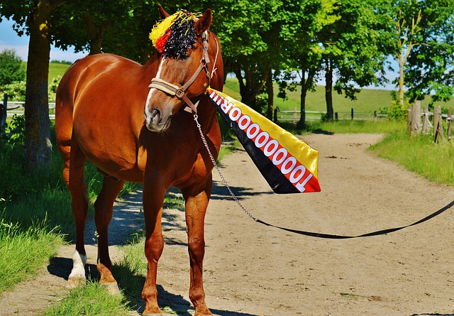 天会打回来 天会打回来