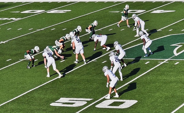 武术不是单 武术不是单